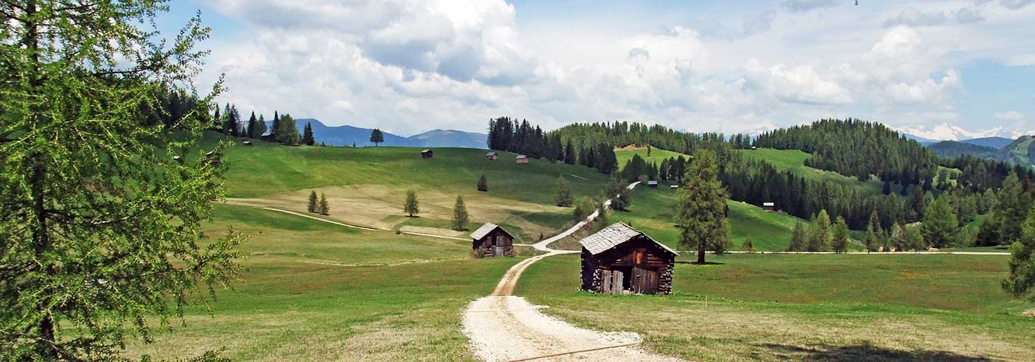 La Valle In Alto Adige | Info Su La Val, Alta Badia